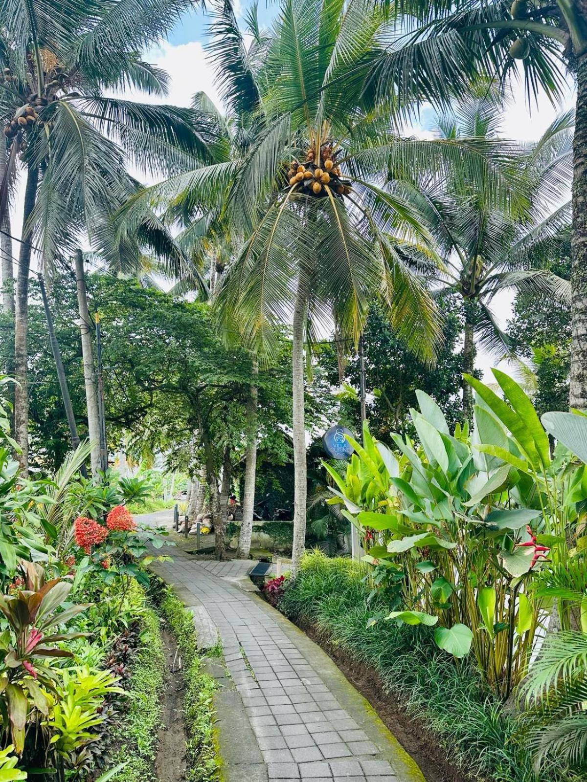 Villa Olirine By Balisuperhost Ubud Exterior foto